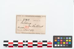 Etikett zu Bronzebrillenfibel (NHMW-PRAE-025912)